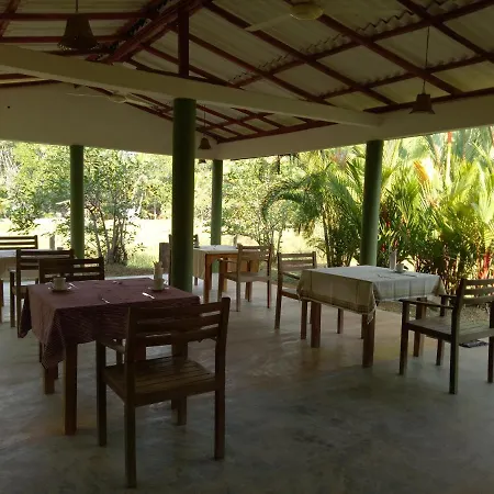 Mangrove Villa - Yoga & Ayurveda-2
