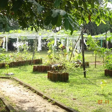 Mangrove Villa - Yoga & Ayurveda-2
